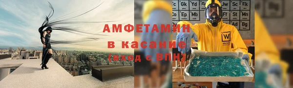 шишки Верхний Тагил